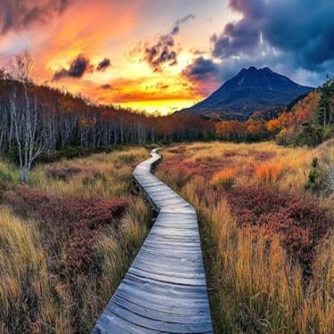 Imagem de Quadro Decorativo Wooden Path Sunset - Arte de Parede Natureza e Luz Natural Tamanho 40x40cm