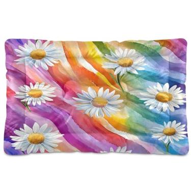 Imagem de SEHANY Cama de arco-íris para cães e gatos com fundo antiderrapante, cama de canil, colchão macio para animais de estimação, lavável para cães pequenos, médios e grandes, gatos, 45,7 x 61 cm