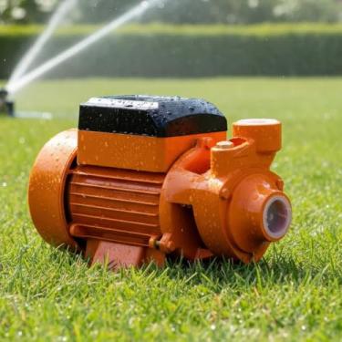 Imagem de Bomba Periferica De Água Elétrica 1/2hp 1 Polegada Para Cascatas Cisternas Irrigação (110, Volts)