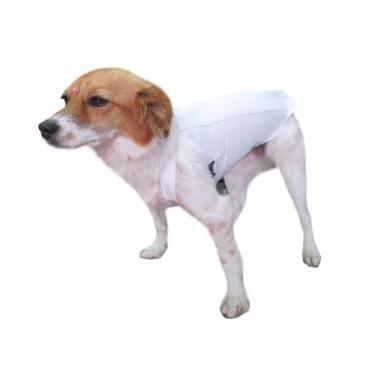 Imagem de Colete Cinta Lombar para Cachorro Pet Sob Medida Artipé - Artipe