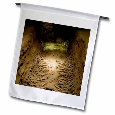 Imagem de 3dRose fl_75534_1 Eunucos de quadra, guerreiros de terracota, escavação, China-AS07 DBR0161-Bandeira de jardim Dave Bartruff, 30 por 45 cm