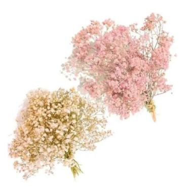 Imagem de 2 Mini Buques Gypso Mosquitinho Rosa E Branco Desidratada - Pense Flor