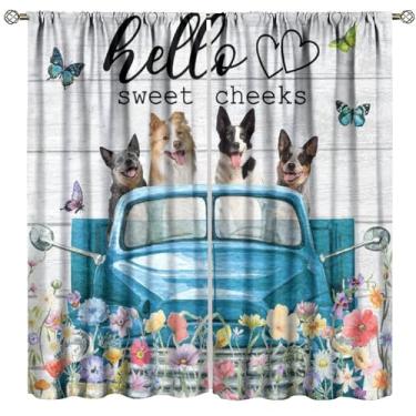 Imagem de Fblifil Cortina de cachorro engraçada infantil casa de fazenda floral animal fofo filhote de cachorro flor rústica caminhão azul planta de madeira estampada haste bolso tratamentos de janela para