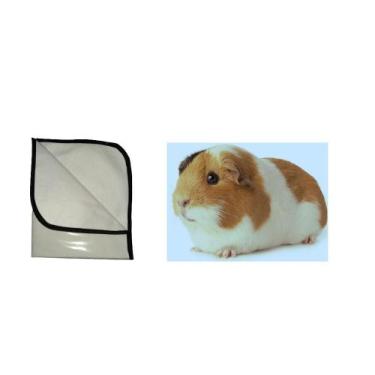 Imagem de 10 Tapetes Higiênico Porquinho Da Índia, P 50X60 Cm - Shelby Moda Pet