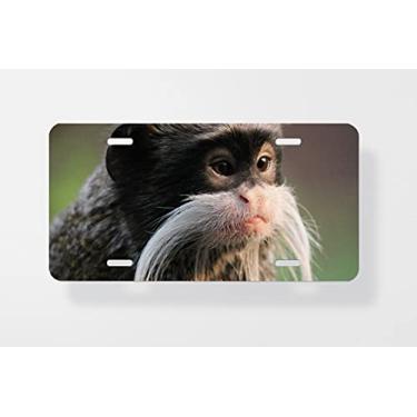 Imagem de Capa para placa de licença Emperor Tamarin Macaco no ramo Bigode Branco 2 - Capa para placa de carro - Capa para placa de carro 15 x 30 cm