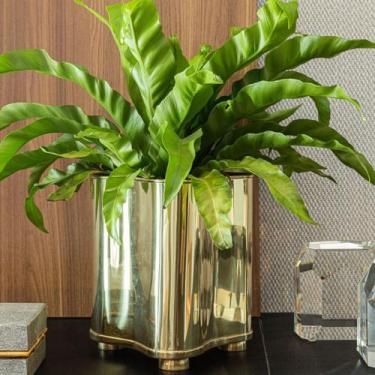 Imagem de Vaso Botanique Gold24K - St James