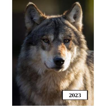 Imagem de 2023: Agenda semainier au format A4 - Année civile (Janvier à Décembre 2023) - Intervalles d'1h (7h-22h) - Contacts, jours fériés, mots de passe, ... - Une semaine sur deux pages