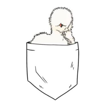 Imagem de Silk Hen Notebook: Silk Chicken In Breast Pocket Silkie / 6x9 Inches / 120 dotted Sites