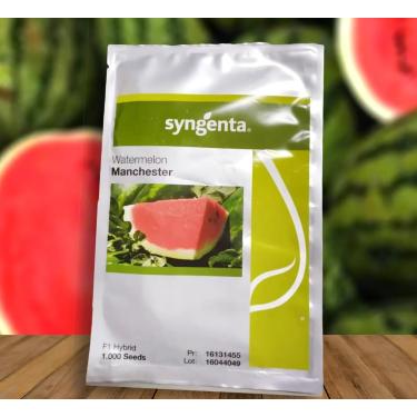 Imagem de Sementes De Melancia Híbrida Manchester 1.000un