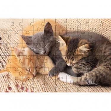 Imagem de Kit 4 Quebra-cabeças De Gatos Fotos Inteligentes Diversão Inclusiva De 60 Peças