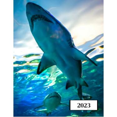 Imagem de 2023: Agenda semainier au format A4 - Année civile (Janvier à Décembre 2023) - Intervalles d'1h (7h-22h) - Contacts, jours fériés, mots de passe, ... - Une semaine sur deux pages