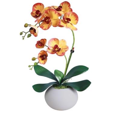 Imagem de Forlaoers Real Touch 43 cm de altura, orquídea sintética, flores artificiais, orquídeas, flores de seda com vaso, planta falsa para decoração de casa, mesa de interior, decoração de arranjos florais