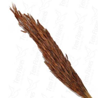 Imagem de Capim Trigão Flor Desidratada Buque Flores Secas - Naturais Atacado Na