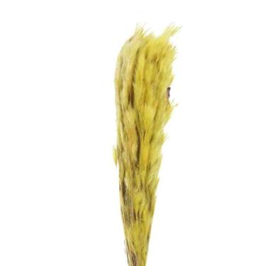 Imagem de Pluminha Amarelo Flor Desidratada Buque Flores Secas - Pense Flores