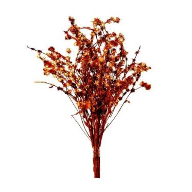Imagem de Rosinha Laranja Desidratado - Tem Flores