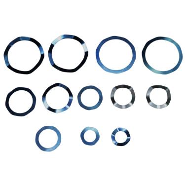 Imagem de Reparo De Placa Wayne W800 Schulz Msw40Fort Chiaperini Cj40Apw Pressure Psv40 Onix40 Mola E Válvula