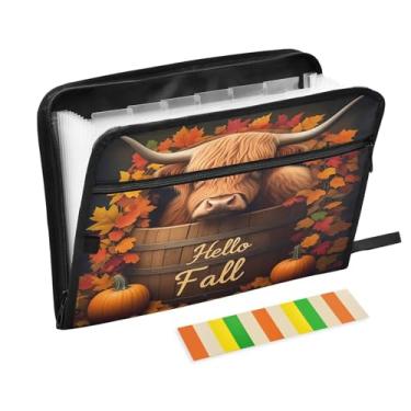 Imagem de CEBUGI Pasta expansível de 13 bolsos, impermeável, sanfonada, organizador de arquivos com etiquetas tamanho A4, organizador de documentos de papel para escola, material de escritório, vaca Highland