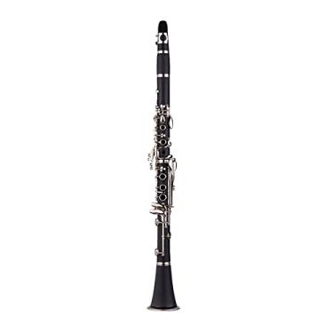 Imagem de Instrumento de Madeira ABS Clarinete Sib com 17 Teclas Estojo Transporte Luvas Pano Limpeza Chave Fenda para Palheta 10pcs Palhetas Iniciantes e Amantes