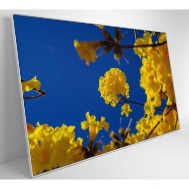 Imagem de Quadro árvore Ipê Amarelo No Céu Azul Medidas 40x60 Cm Impressão Vidro Acrílico