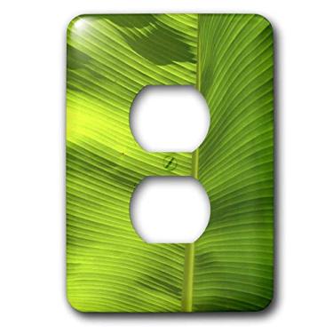 Imagem de 3dRose lsp_7991_6 Ridged in Perfection 2 Plug Outlet Cover, Multicolorido