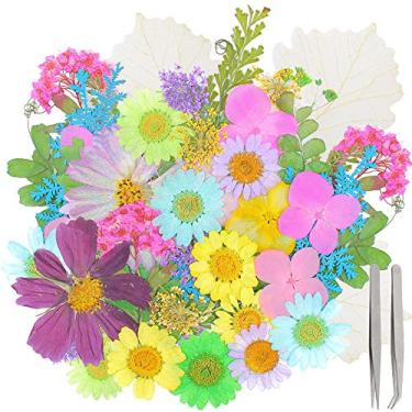 Imagem de FUNSHOWCASE Flores e folhas secas prensadas naturais, hortênsia, viola, erva do bispo para resina epóxi vela sabonete artesanato capa de celular, arte de unhas, 10 espécies, pinças retas e curvadas