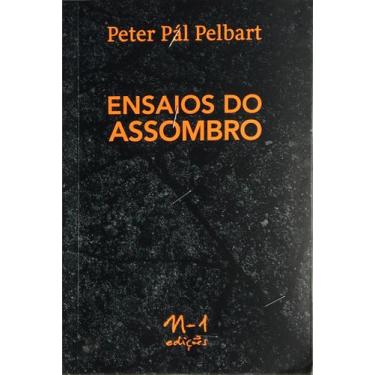 Imagem de Livro - Ensaios do assombro