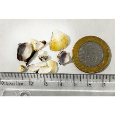 Imagem de Substrato Aragonita Concha N3 25Kg Aqua Pedras