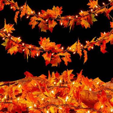 Imagem de Decoração de outono Meknow Fall Garland Lights 9 pés com 50 lâmpadas l