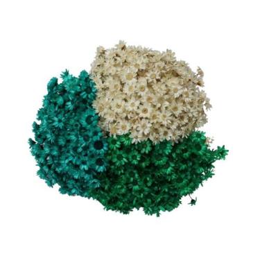 Imagem de Kit Sempre Viva 3 Cores - Branca, Verde e Verde Turqueza - Pense Flore