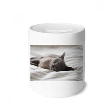 Imagem de DIYthinker Caixa de moedas de cerâmica com foto de gato cinza fofa, presente de cofrinho