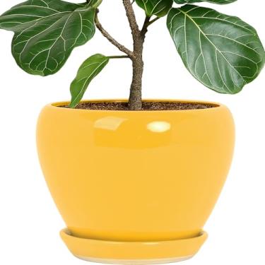 Imagem de Deep Dream Vaso de plantas de 25,4 cm - Vaso de cerâmica redondo para plantas de interior e exterior, vaso de flores grande com orifícios de drenagem e bandejas, amarelo