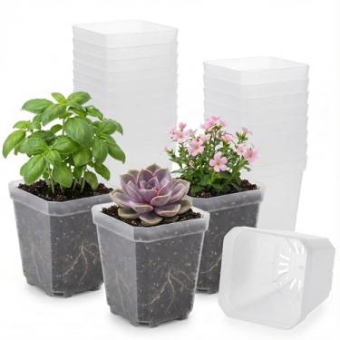 Imagem de RooTrimmer 120 potes quadrados transparentes para berçário com drenagem, vasos de mudas de plástico de 7,6 cm para plantas de interior, pequeno vaso de transplante espesso para sementes, suculentas
