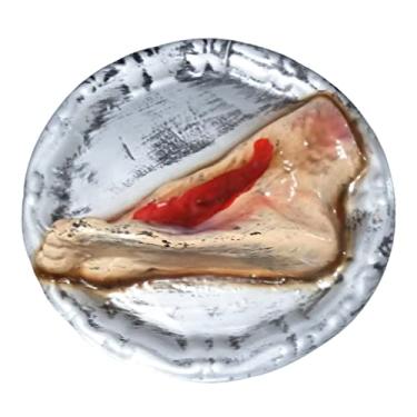 Imagem de Prato Decoração de Halloween Pé Horripilante - 30cm