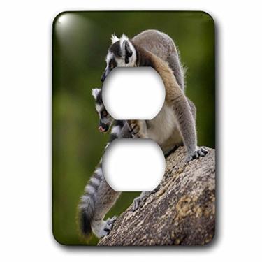 Imagem de 3dRose Lsp_72897_6 Ringtailed Lemurs Primates Andringitra Mtns, Madagascaraf24 Pox0373 Pete Oxford 2 Plug Outlet Cover