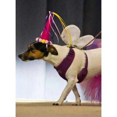 Imagem de Fantasia pet fada - Elu