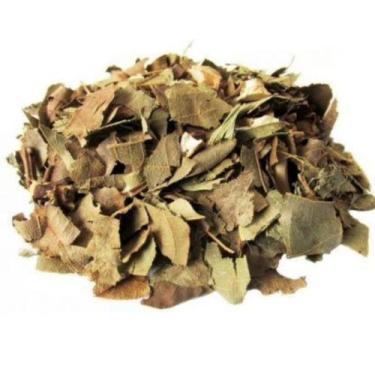 Imagem de Folha de Abacate  500Gr ( Ervas seca) - Top Life