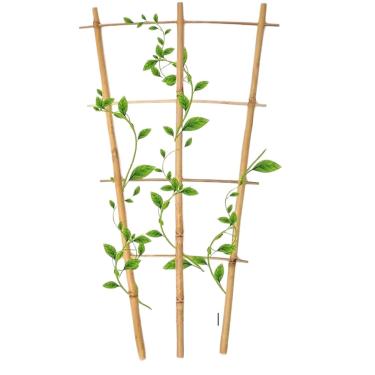 Imagem de Tutor Bambu Natural 60, 75 e 90cm sustentação trepadeiras jardim treliça para crescimento de plantas suporte para vaso(90 cm)