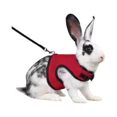 Imagem de Colete Respirável Multicolorido Com Arnês Ajustável E Conjunto De Guia