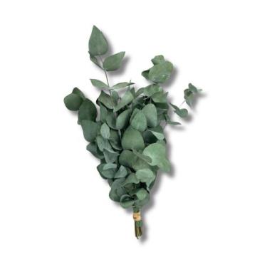 Imagem de Mini Buquê Eucalipto 20 cm De Flor De Corte Decoração Desidratada - IN