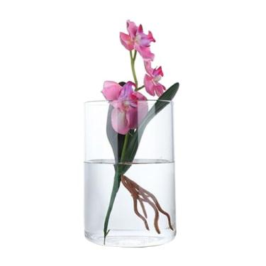 Imagem de Vaso cilíndrico de vidro transparente de 10 cm de altura, vaso de flores decorativo, mesa central, arranjo de vela, vaso floral hidropônico alto para buquê de plantas, casamento, decoração de casa