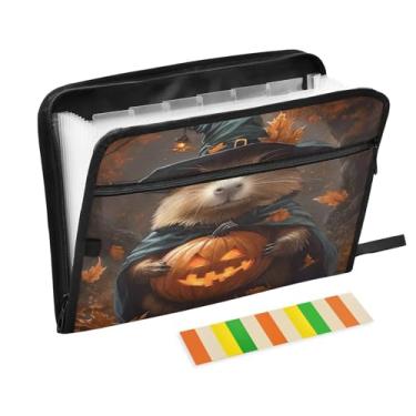 Imagem de CEBUGI Pasta expansível de 13 bolsos, impermeável, sanfonada, organizador de arquivos com etiquetas tamanho A4, organizador de documentos de papel para escola, material de escritório, Halloween