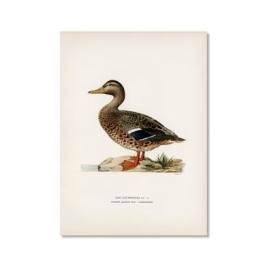 Imagem de Pôster de arte de parede vintage com estampa de pato rústica, pássaros, lago, natureza, retrô, pintura, quadros, decoração de quarto de fazenda (SKU13,50.8x71.1 cm = (50 x 70 cm), sem moldura)