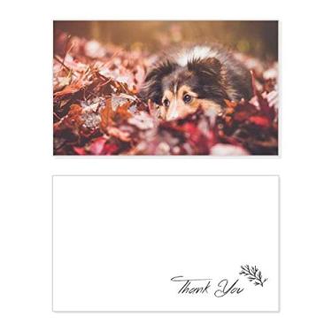Imagem de Cartão de agradecimento com foto de folha de animal de estimação para cães, aniversário, agradecimento de casamento
