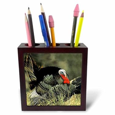 Imagem de 3dRose Wild Turkey Gobbler - Porta-caneta de azulejo, 12,7 cm (ph_744_1)