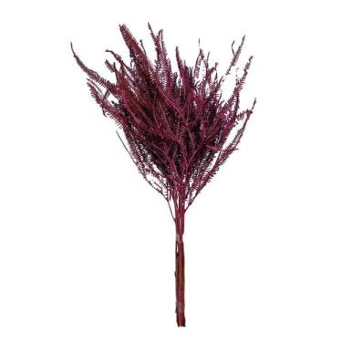 Imagem de Planta Seca Samambaia Tres Andares Vermelho 50cm - Pense Flores