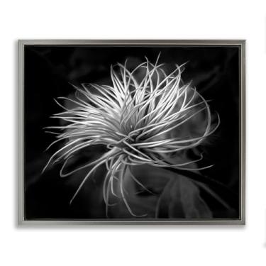 Imagem de Stupell Industries Arte de parede em tela flutuante emoldurada cinza com folhas botânicas torcidas, design de Phillip Flowers, 64 x 78 cm