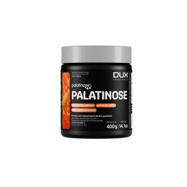 Imagem de Palatinose (400g) - Padrão: Único - Dux Human Health