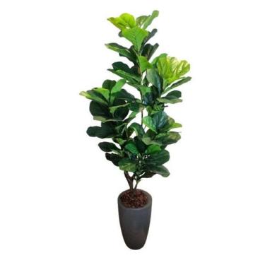 Imagem de Planta Artificial Árvore Ficus Lyrata 1,70m Kit com Vaso CInza 40cm - 