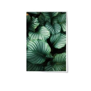 Imagem de Quadro Foto De Folhas 33X24Cm - Com Vidro Moldura Branca