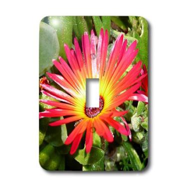 Imagem de 3dRose lsp_22795_1 Impressionante guardanapo de margarida Gerbera vermelho e amarelo Nova Zelândia - interruptor de botão único